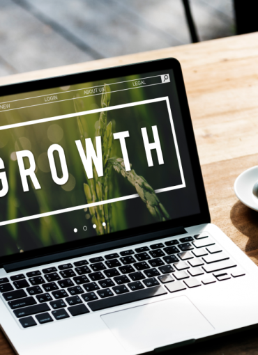 Personal Portfolio Mini Website