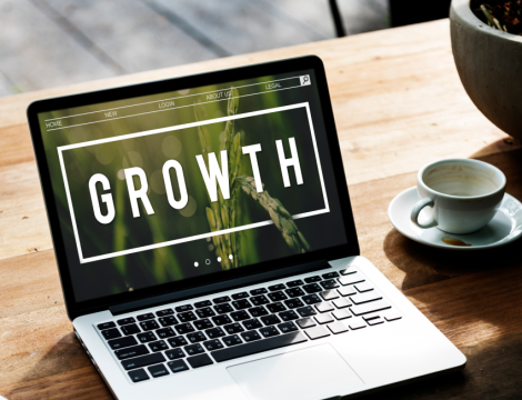 Personal Portfolio Mini Website